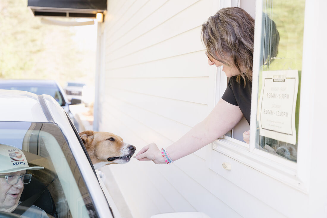 A patient and their dogs greeting staff at Mitchell's Pharmacy drive-thru